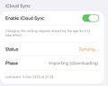 iCloud Syncing